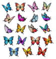 colorful butterflies set vector image vector image