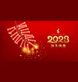 firecrackers chinese fire work rabbit new year vector image vector image