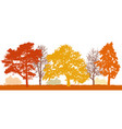 trees in autumn silhouette park vector image