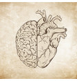 human brain and heart halfs over grunge aged paper vector image vector image