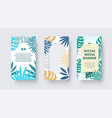 social media banner with tropical leaves palm vector image vector image