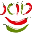 chili peppers red and green vector image