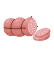 sausage cut into slices traditional meat snack vector image vector image