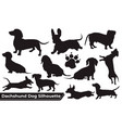 collection of animal dachshund dog vector image