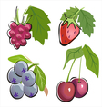 different berry icon set in cartoon ctyle vector image