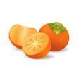 whole and half persimmons vector image