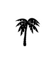 palms tree icons vector image vector image