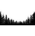 forest coniferous trees silhouette background vector image
