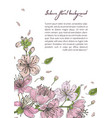 spring background with blooming sakura flowers vector image