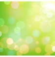 background bokeh vintage spring yellow vector image vector image
