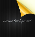 curved background vector image vector image