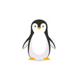 cartoon penguin icon vector image