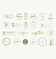 set labels and stickers for organic products vector image