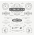 vintage ornaments decorations design vector image