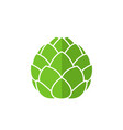 artichoke vector image vector image