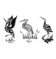 heron or wader birds icons black herns vector image