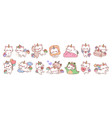 cute unicorn cats funny color fairy animals vector image vector image