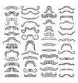 retro style of hairs mustache men vector image