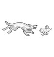 wolf chasing hare sketch vector image