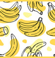 banana pattern delicious fruit sketch seamless vector image