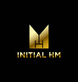 hm initial logo design vector image