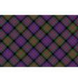 macdonald tartan kilt fabric diagonal texture vector image