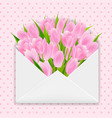 pink tulip vector image vector image