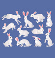 snow hares white furry hare or rabbit pets wild vector image vector image