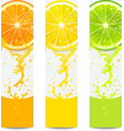 banners with fresh citrus fruit vector image vector image