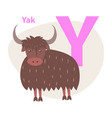 zoo abc letter with cute yak cartoon vector image vector image