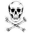 skull and crossbones vector image vector image