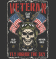 veteran skull colorful flyer vintage vector image
