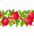 pomegranate branches pattern vector image
