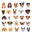 set of purebred dog avatars vector image vector image