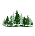 green forest evergreen pine tree isolated park vector image