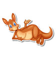 kangaroo animal cartoon sticker vector image
