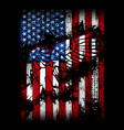 eagle flag - american flag vector image vector image