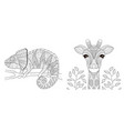 chameleon and giraffe vector image vector image