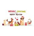cute dogs in santa hats isolated on white vector image