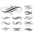elegance elements vector image vector image