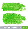 green watercolor brush strokes for your design vector image vector image
