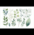 watercolor floral set decorative vector image vector image