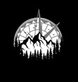 mountain with compass vector image vector image