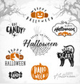 halloween design elements vector image