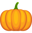 pumpkin vector image