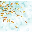 autumn foliage background vector image vector image