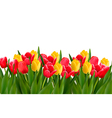 holiday background with colorful flowers vector image vector image