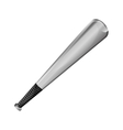 baseball bat icon vector image