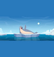 sea polar animal cartoon background with nord vector image vector image