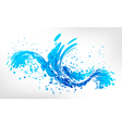 splash water vector image vector image